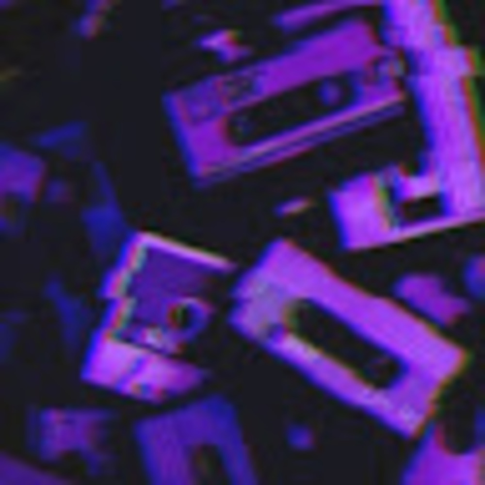 Meet your Posher, Raylie